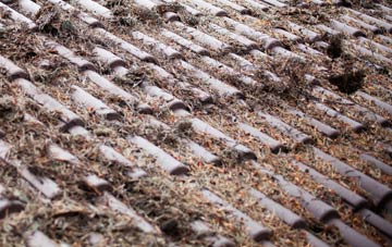 Port Sunlight roof cleaning companies