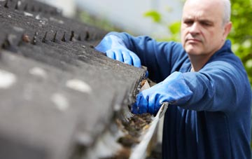 cleaning and inspecting Port Sunlight roofs